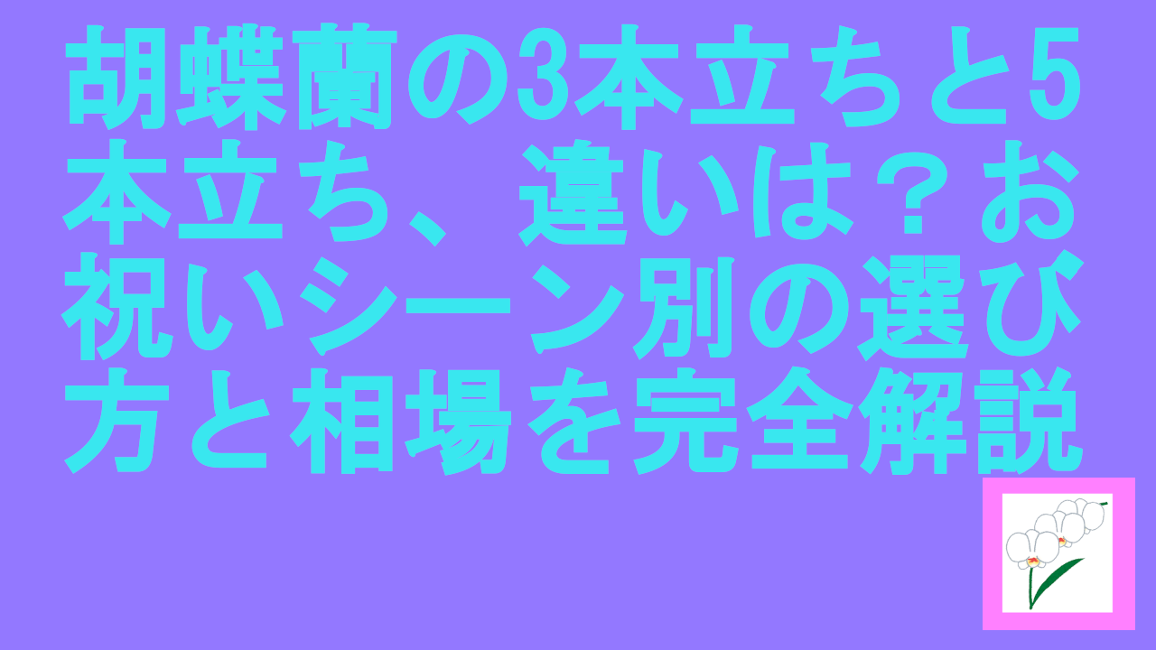 胡蝶蘭の3本立ちと5本立ち、違いは？お祝いシーン別の選び方と相場を完全解説