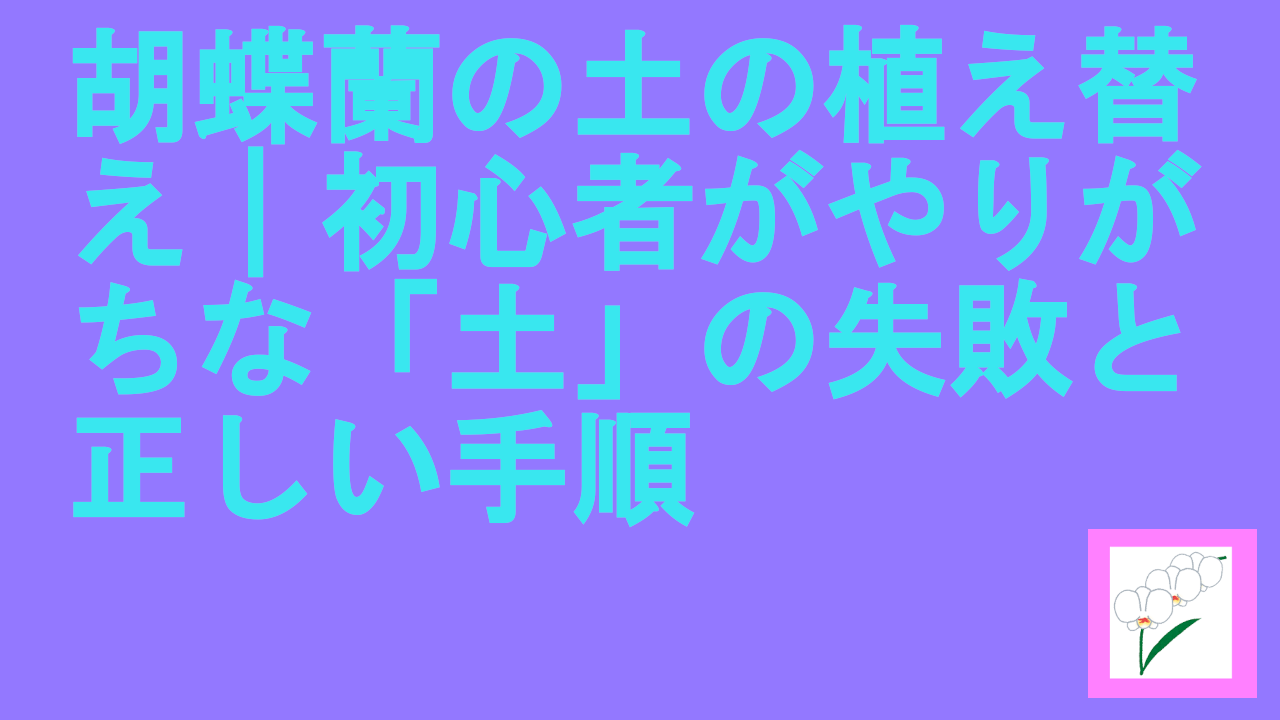 胡蝶蘭の土の植え替え｜初心者がやりがちな「土」の失敗と正しい手順