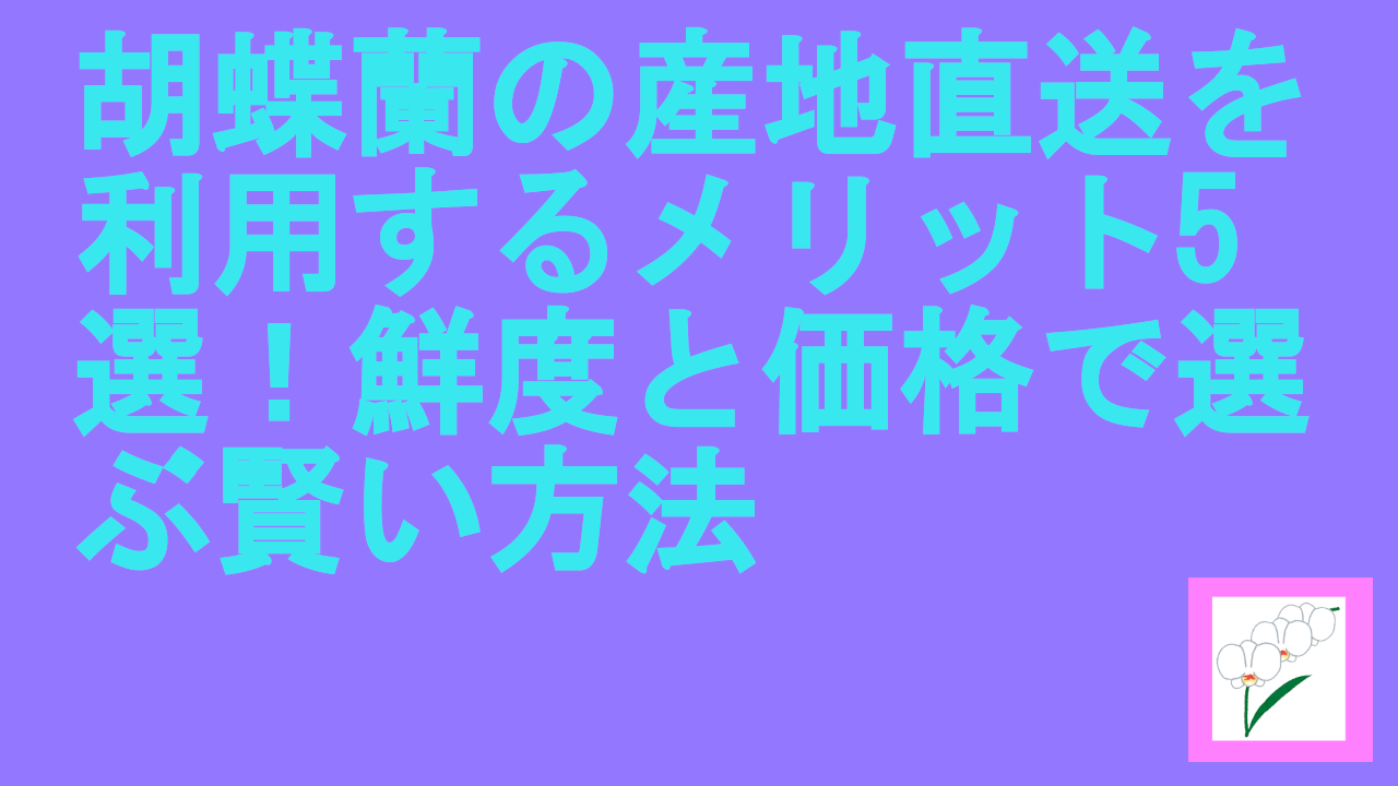 胡蝶蘭の産地直送を利用するメリット5選！鮮度と価格で選ぶ賢い方法