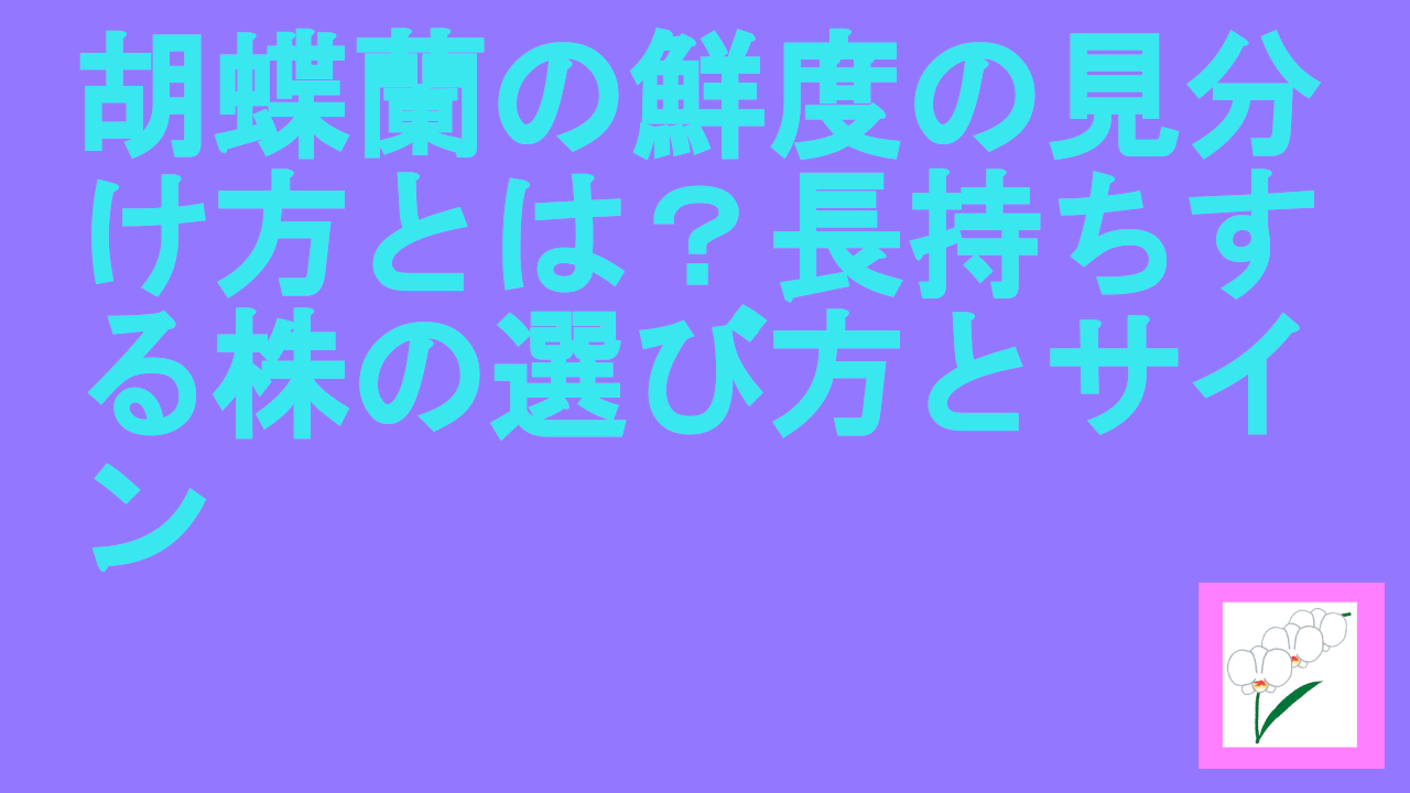 胡蝶蘭の鮮度の見分け方とは？長持ちする株の選び方とサイン