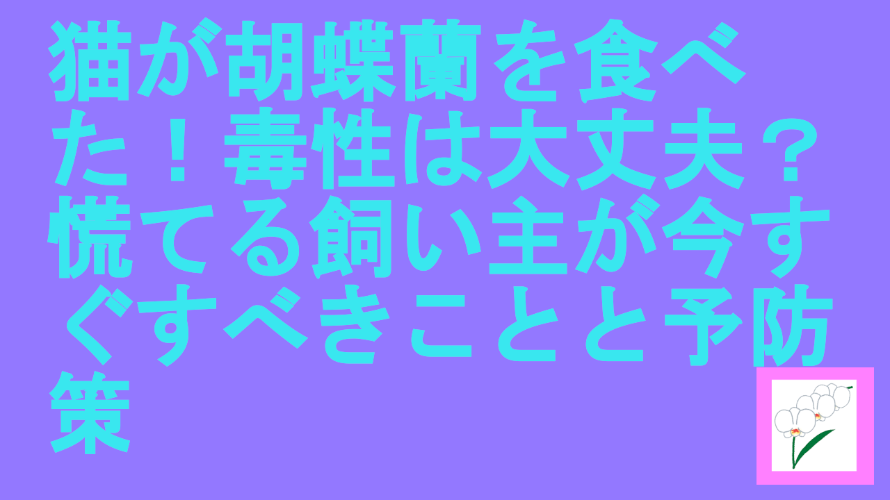 猫が胡蝶蘭を食べた