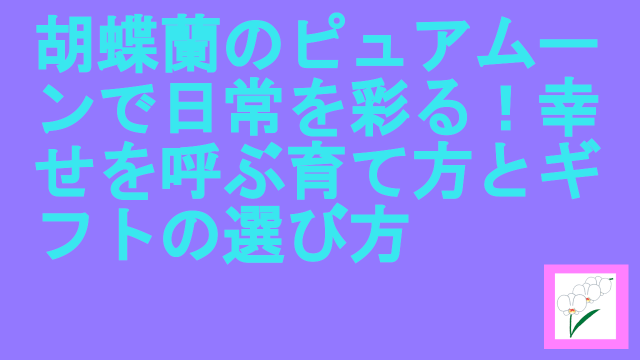 胡蝶蘭のピュアムーン