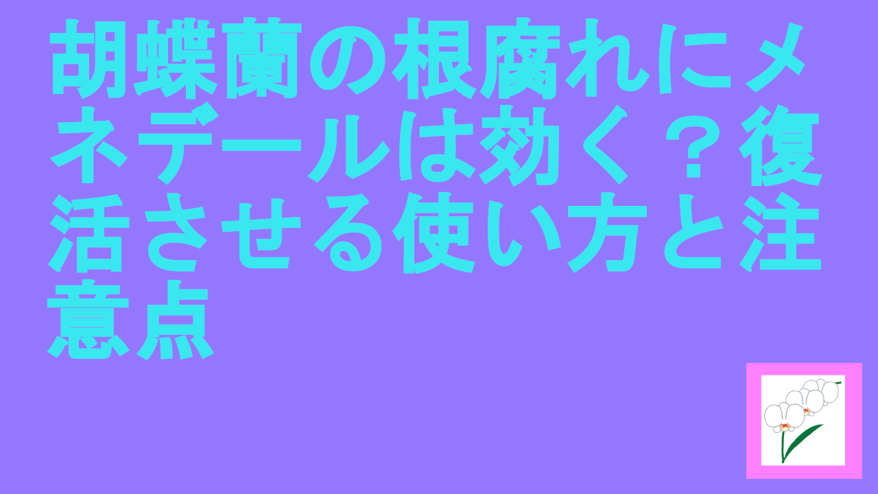 胡蝶蘭の根腐れにメネデール