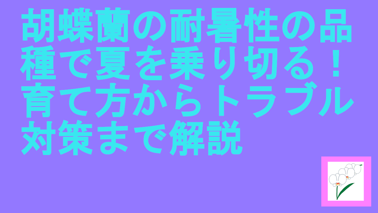 胡蝶蘭の耐暑性の品種