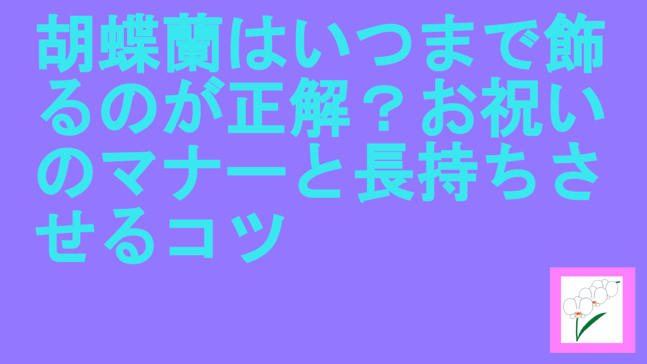 胡蝶蘭はいつまで飾る