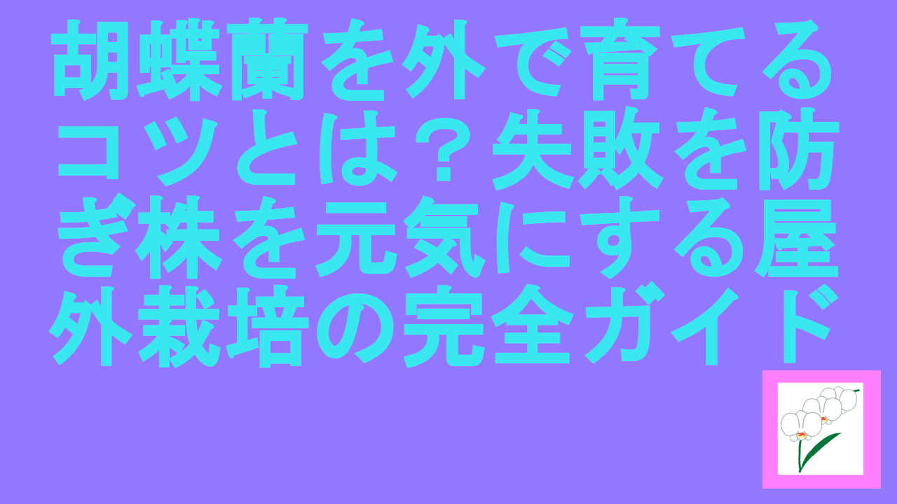 胡蝶蘭を外で育てるコツ