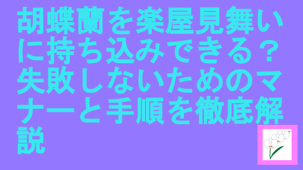 胡蝶蘭を楽屋見舞いに持ち込み