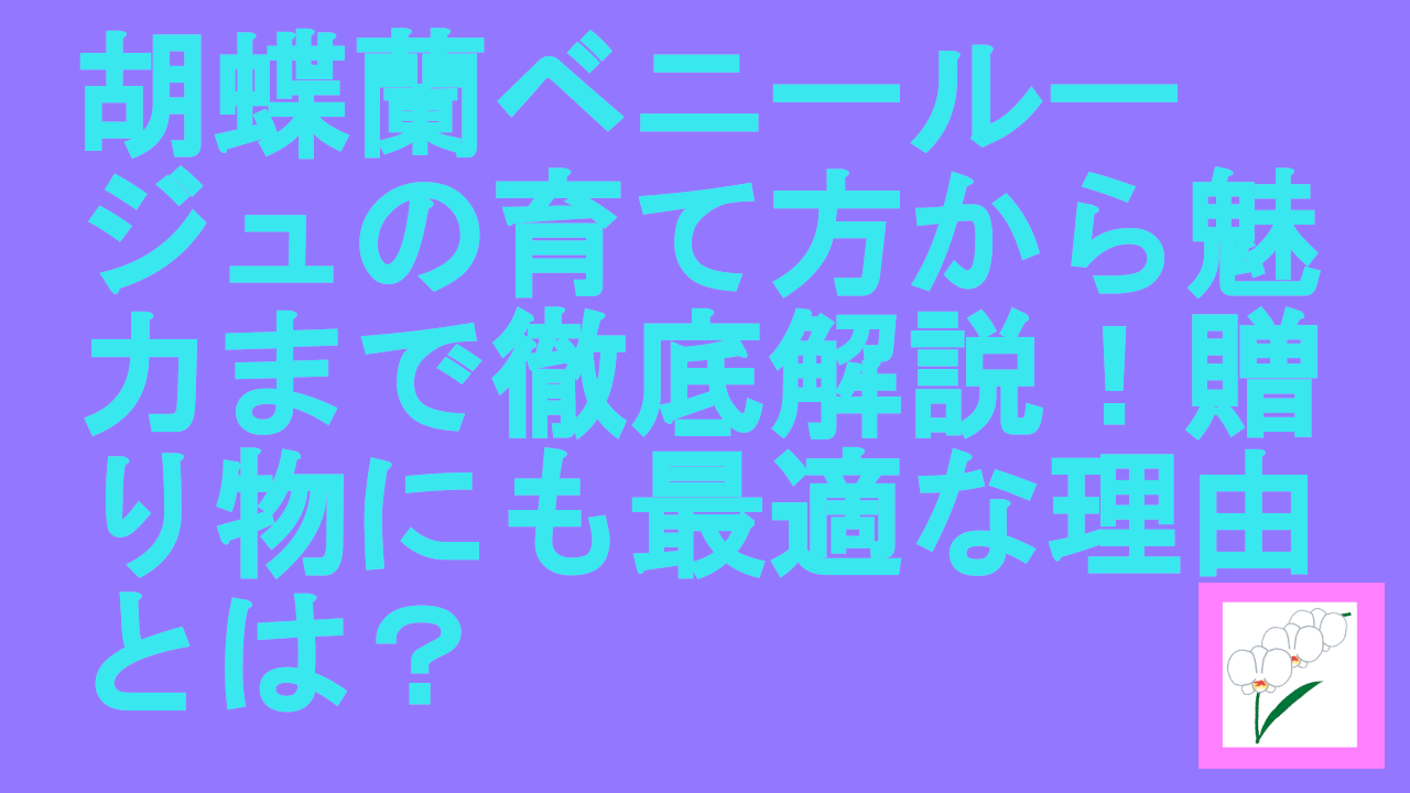 胡蝶蘭ベニールージュの育て方から魅力まで徹底解説！贈り物にも最適な理由とは？