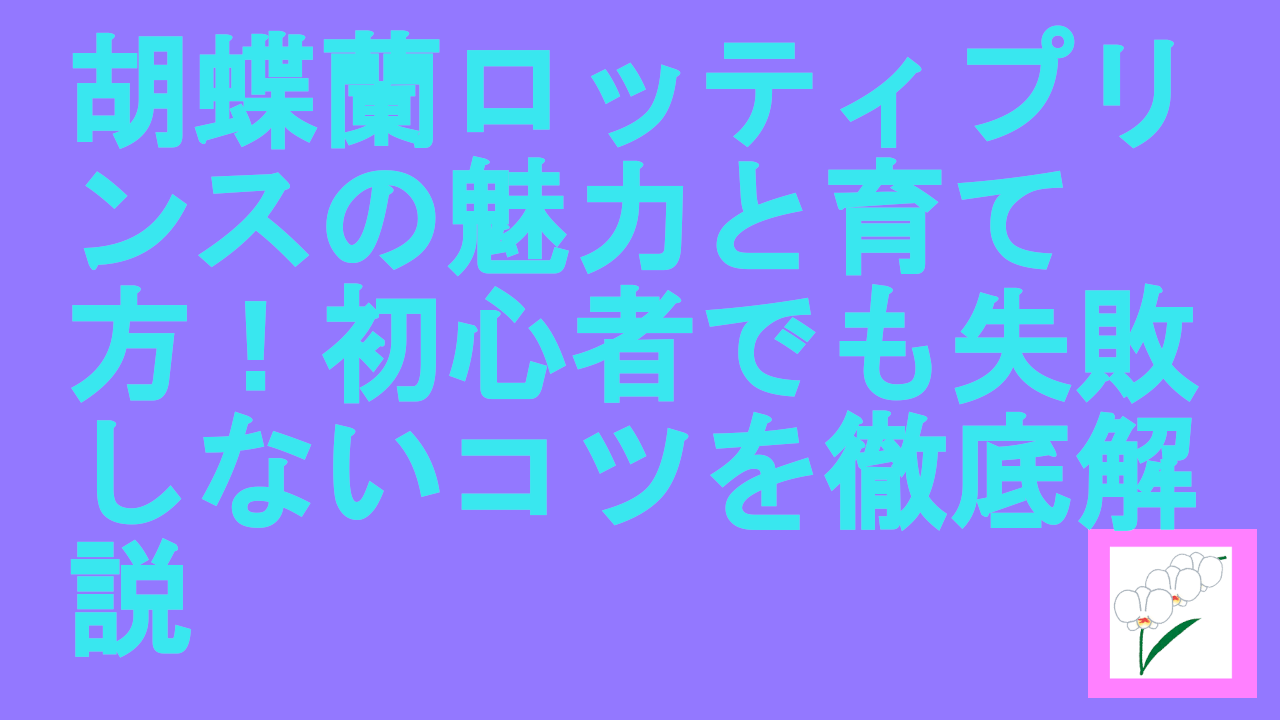 胡蝶蘭ロッティプリンス