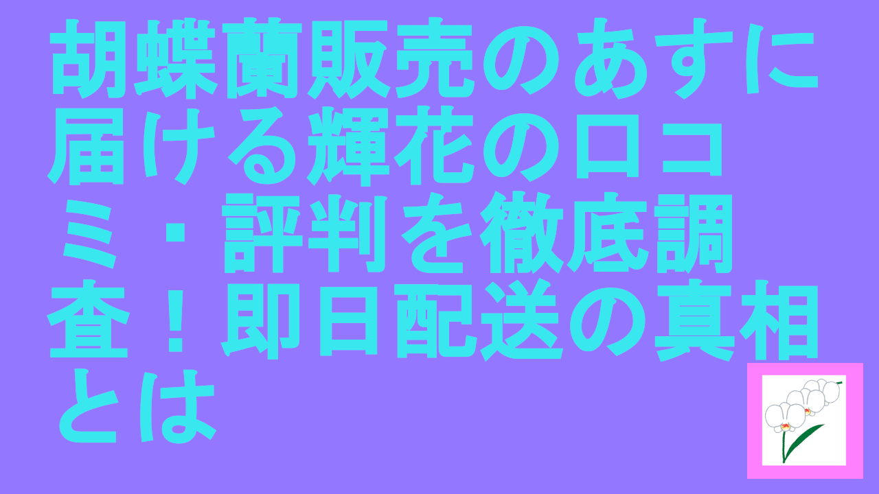胡蝶蘭販売のあすに届ける輝花の口コミ