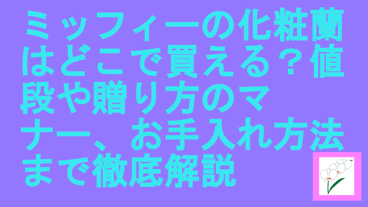 ミッフィーの化粧蘭はどこで買える？値段や贈り方のマナー、お手入れ方法まで徹底解説.