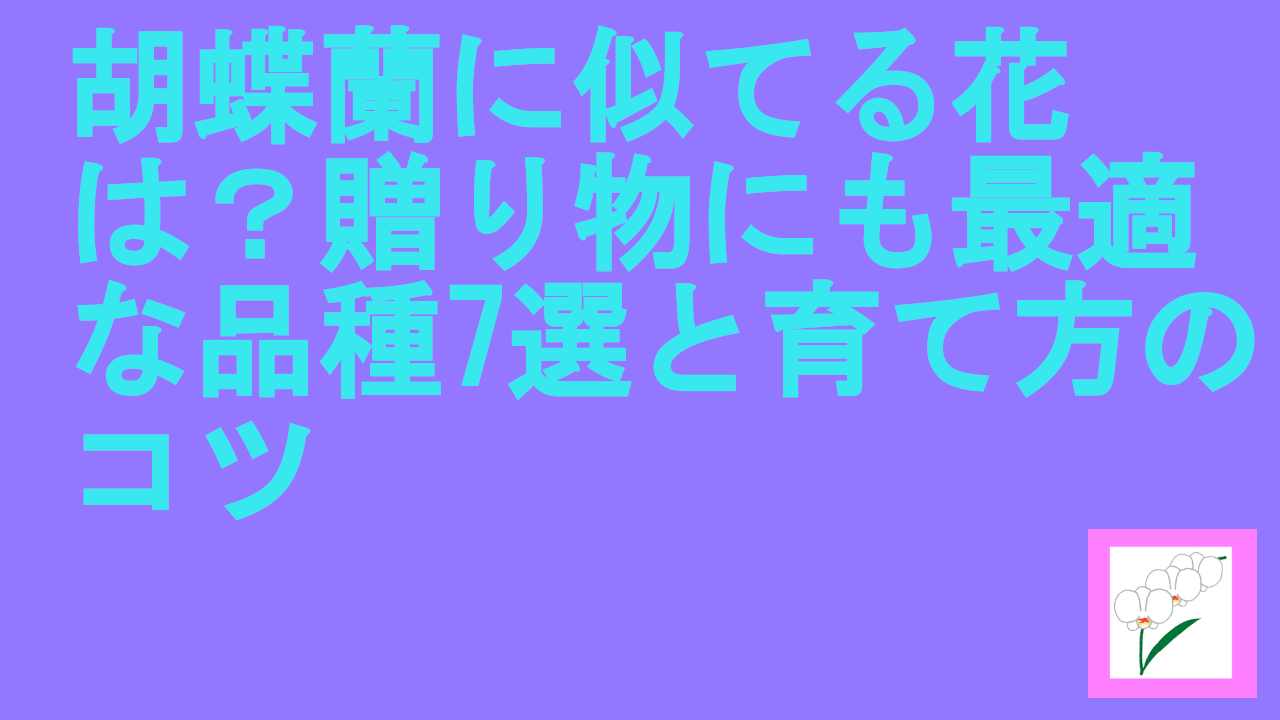 胡蝶蘭に似てる花は？贈り物にも最適な品種7選と育て方のコツ