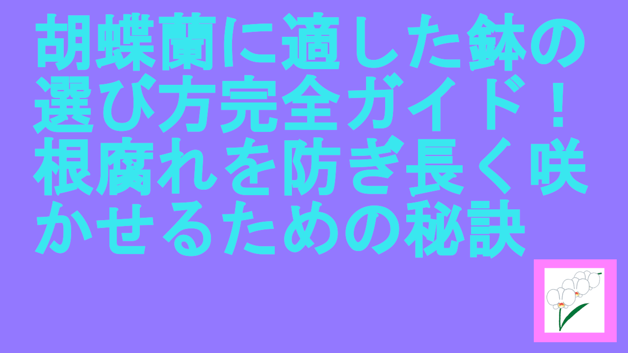 胡蝶蘭に適した鉢の選び方