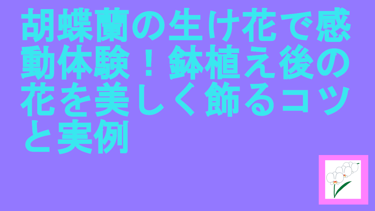 胡蝶蘭の生け花