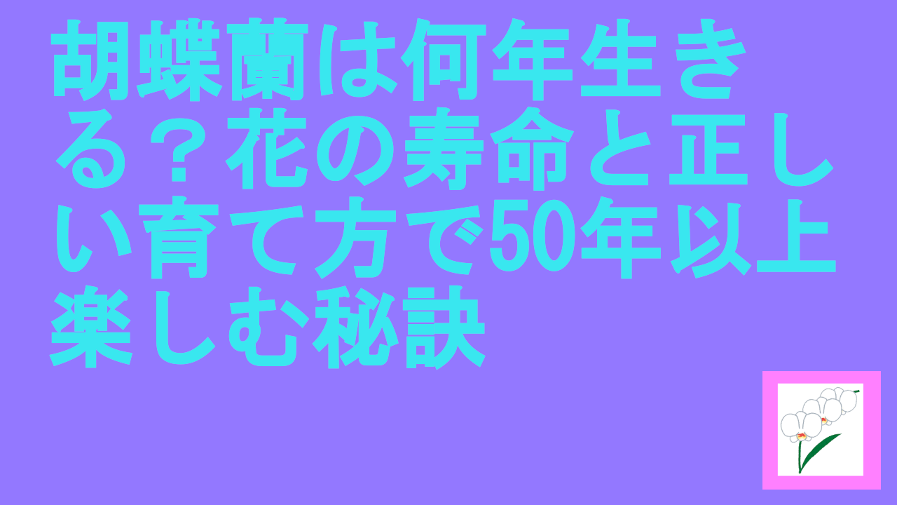 胡蝶蘭は何年生きる