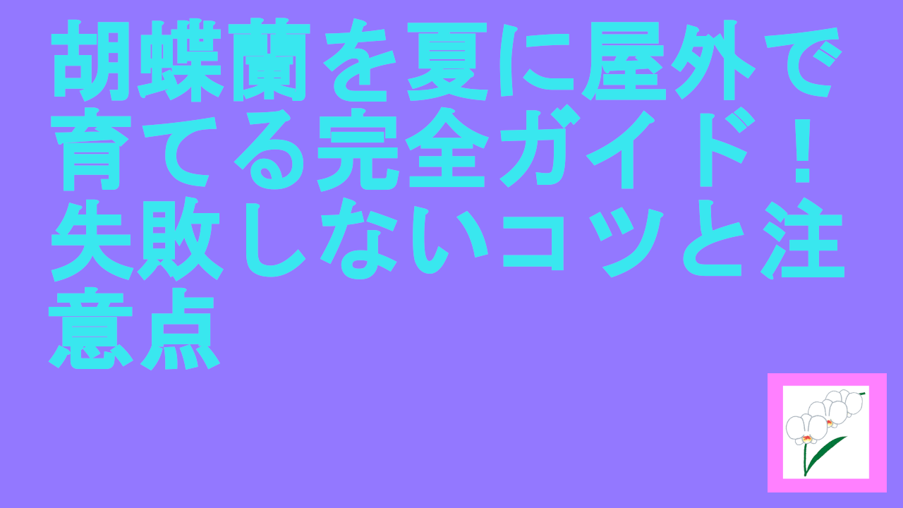 胡蝶蘭を夏に屋外