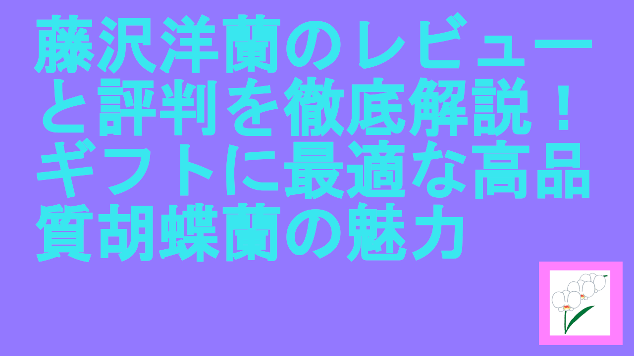 藤沢洋蘭のレビュー