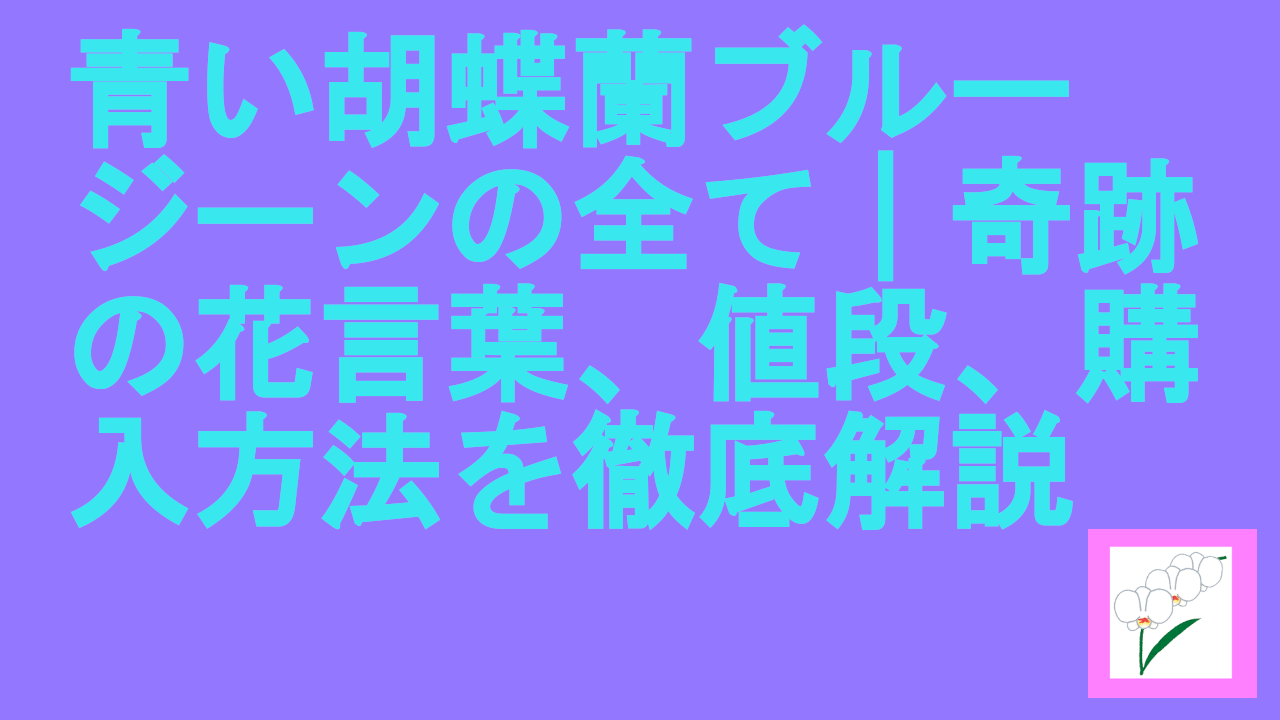 青い胡蝶蘭ブルージーンの全て｜奇跡の花言葉、値段、購入方法を徹底解説
