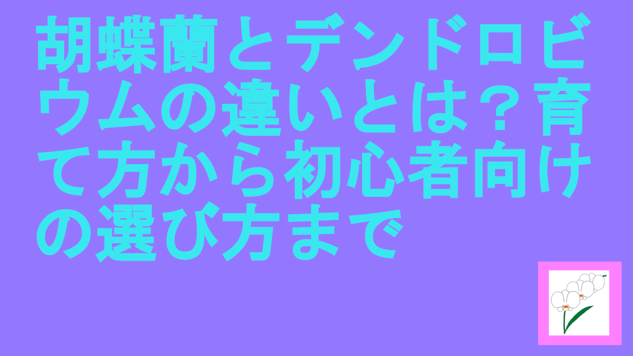 胡蝶蘭とデンドロビウム