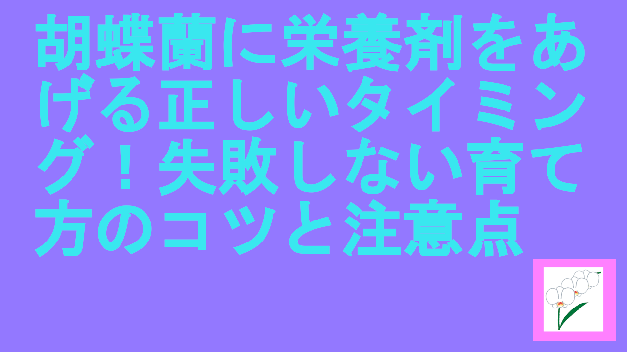 胡蝶蘭に栄養剤をあげる正しいタイミング