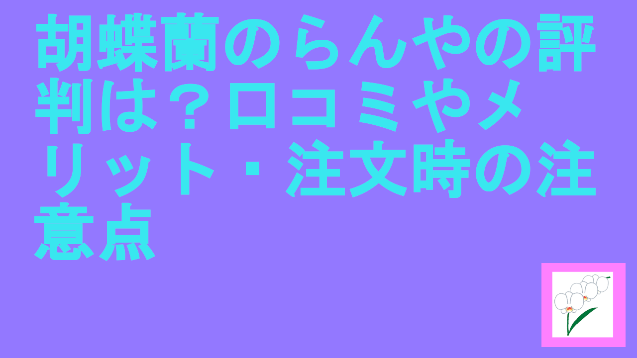 胡蝶蘭のらんや