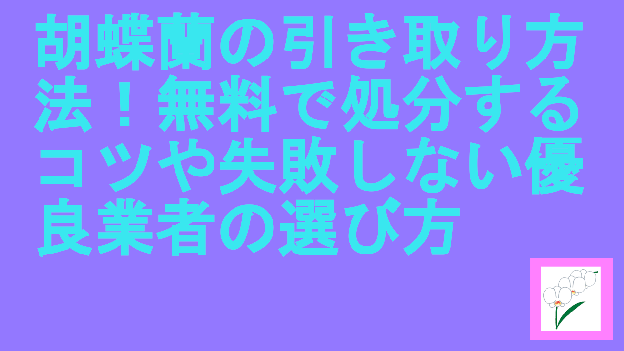 胡蝶蘭の引き取り方法