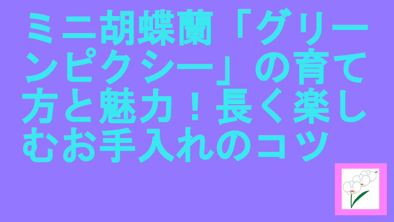 ミニ胡蝶蘭「グリーンピクシー」
