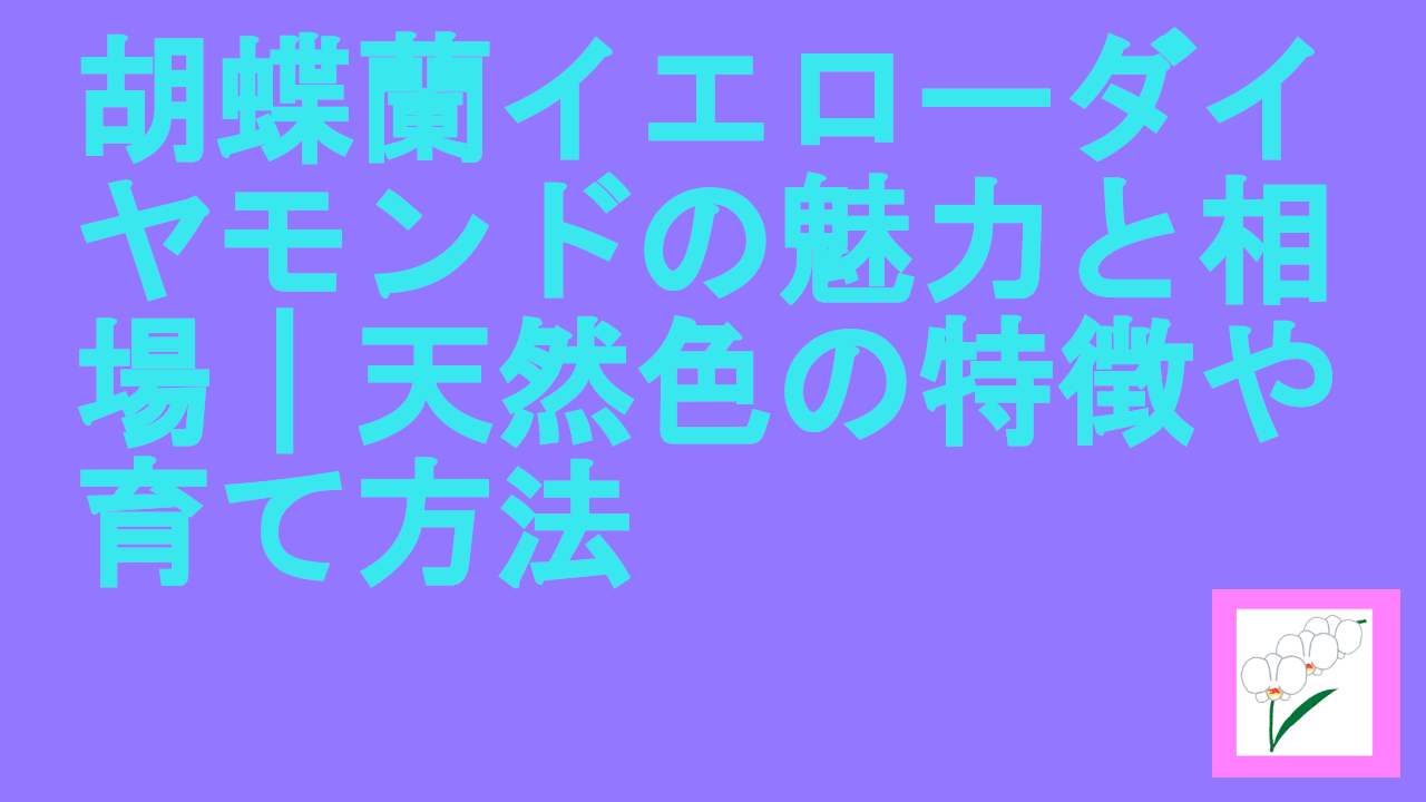 胡蝶蘭イエローダイヤモンド