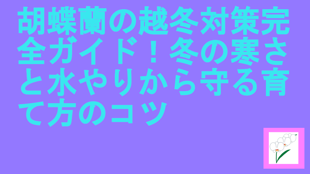 胡蝶蘭の越冬対策